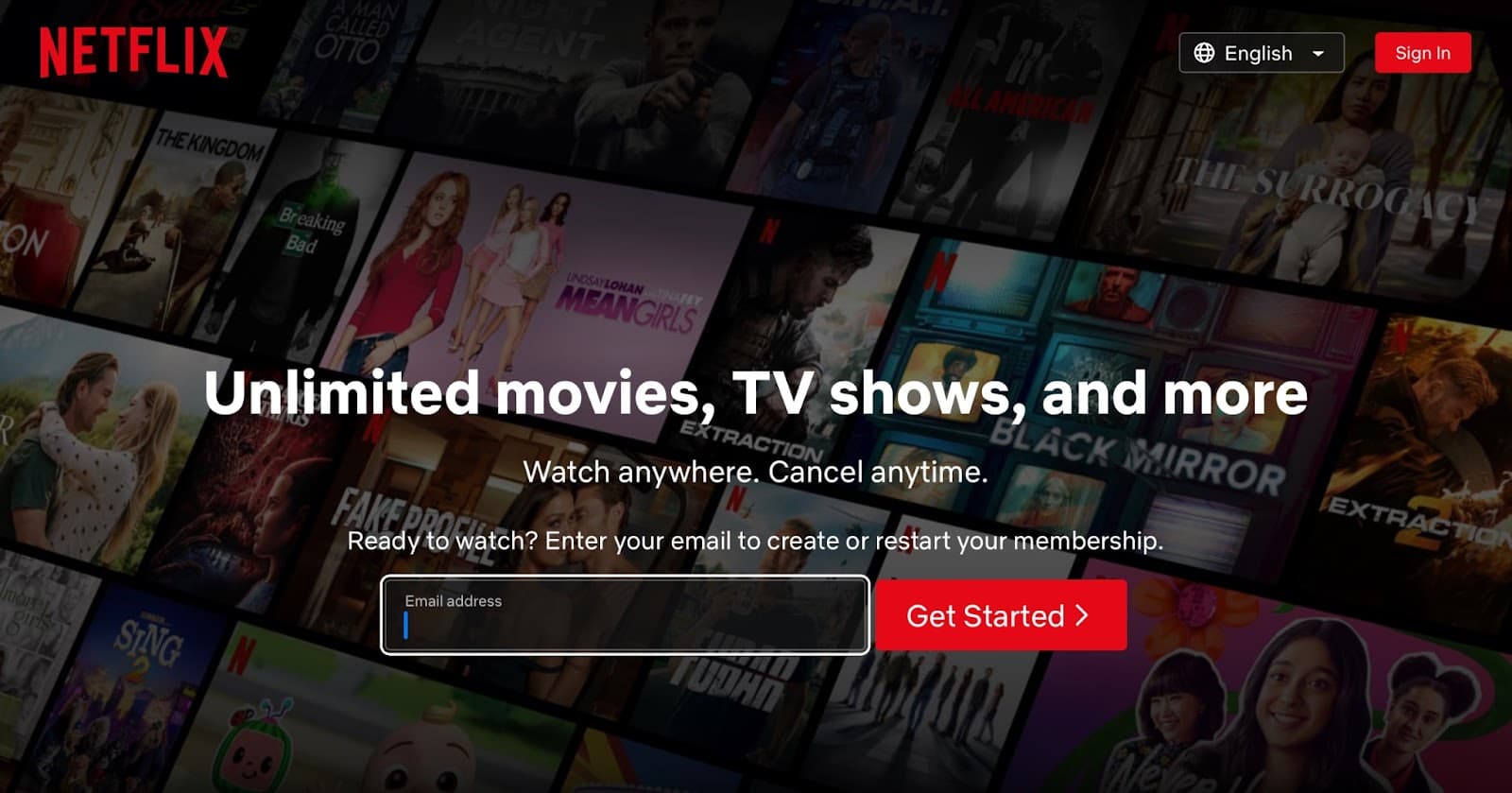 Netflix Premium